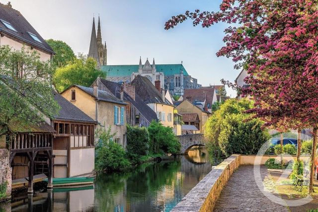 Appartement F2 à louer - 2 pièces - 41.92 m2 - CHARTRES - 28 - CENTRE - Century 21 Maitrejean Immobilier